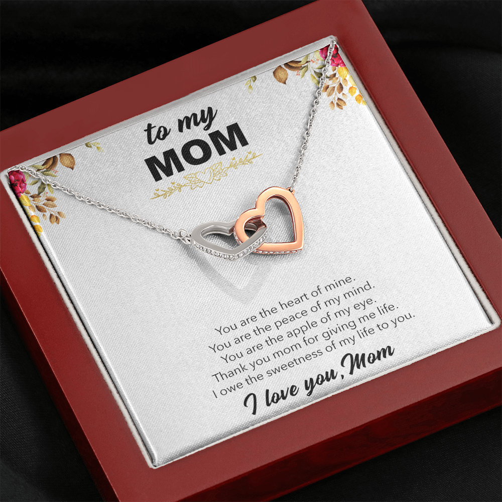 SO2 - Two Hearts of mine To My MOM